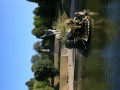 6-Jardin de Boboli 7 (4)