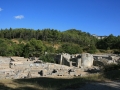 IMG_9686