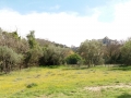 20180416_145636