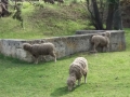 20180416_171524