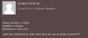Domus