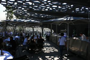 IMG_8336