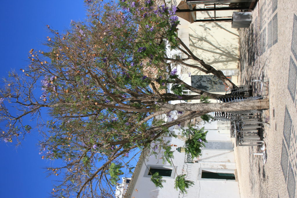 FARO