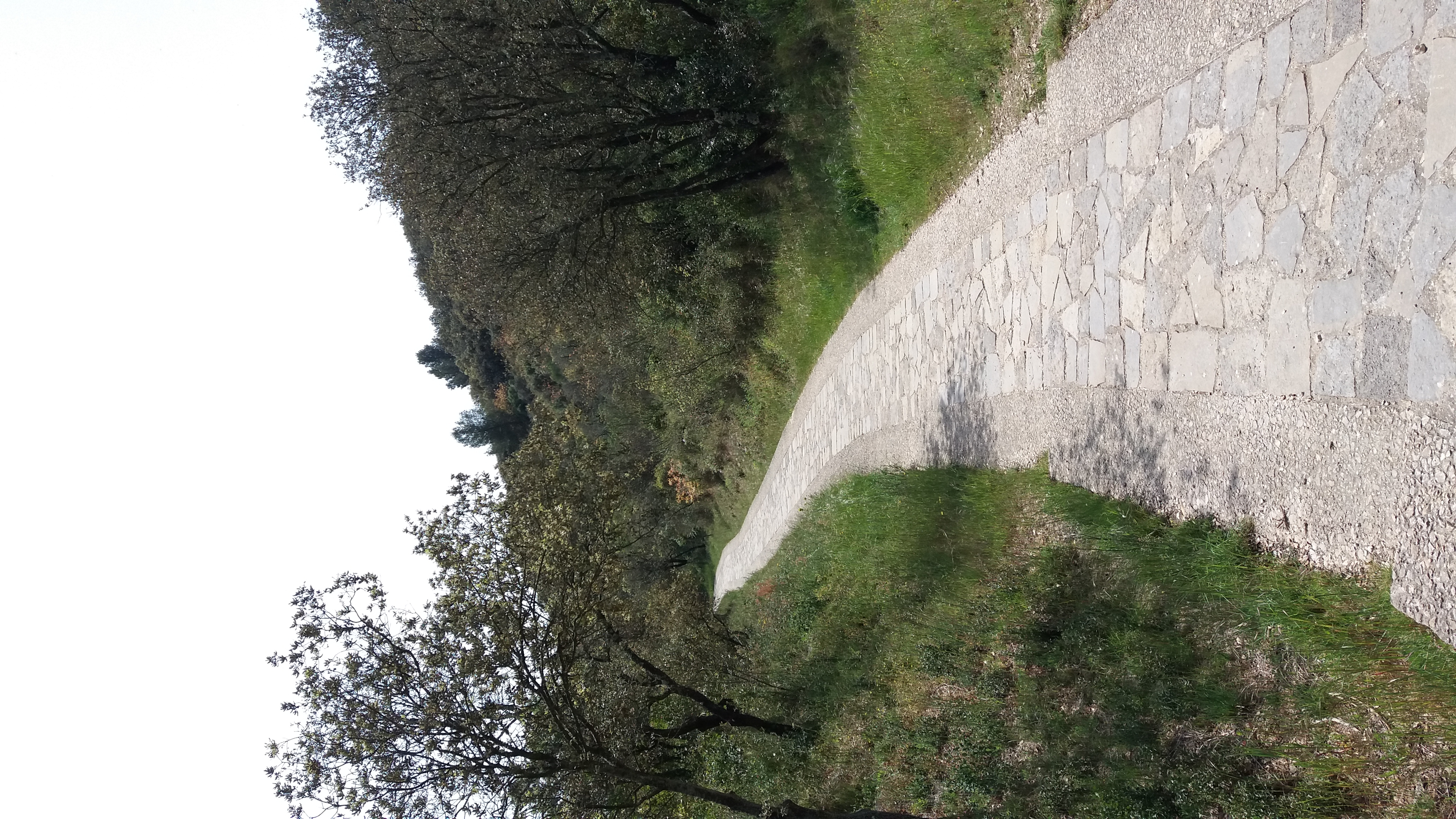 20190419_131311