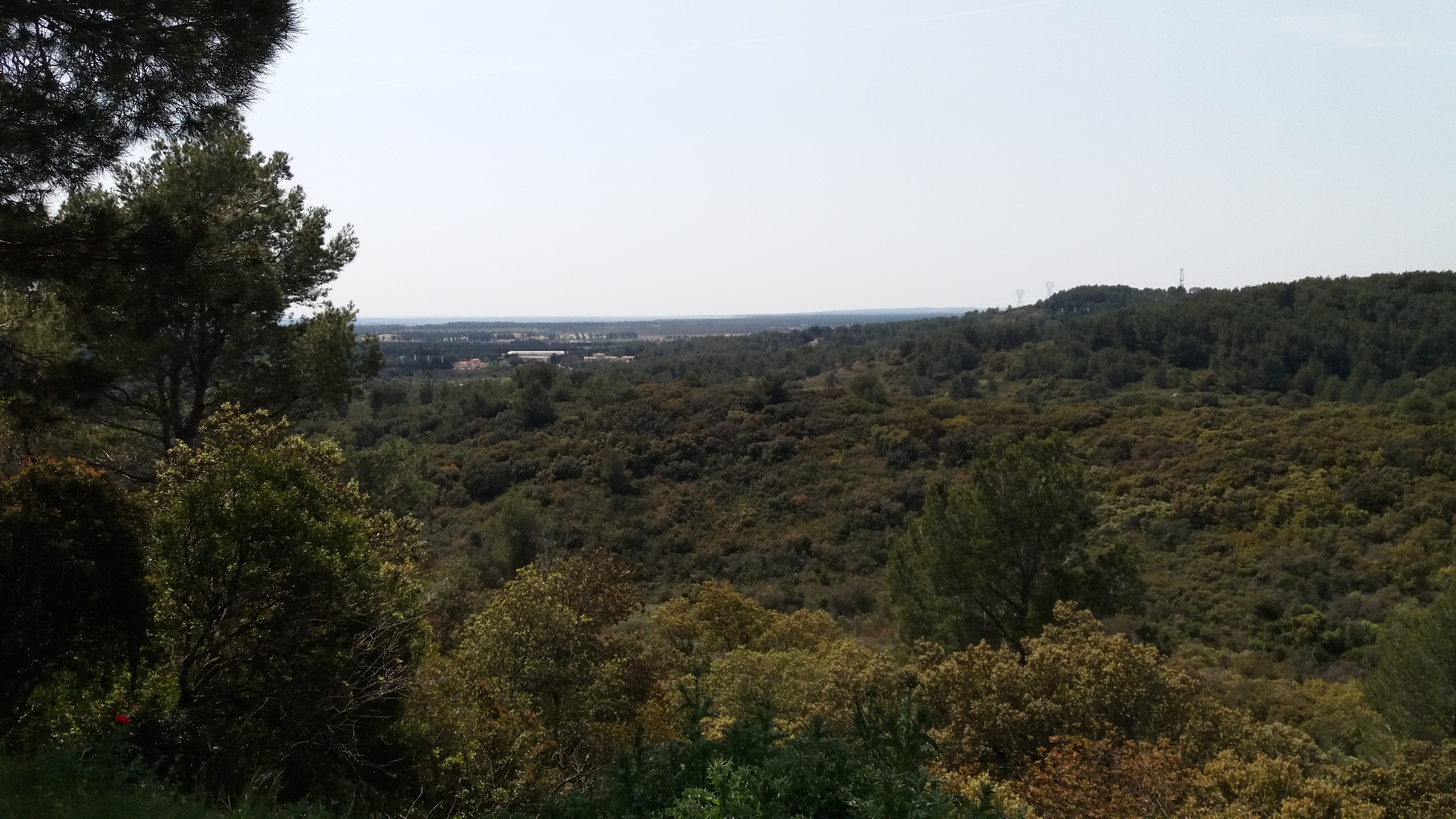 20190419_135725