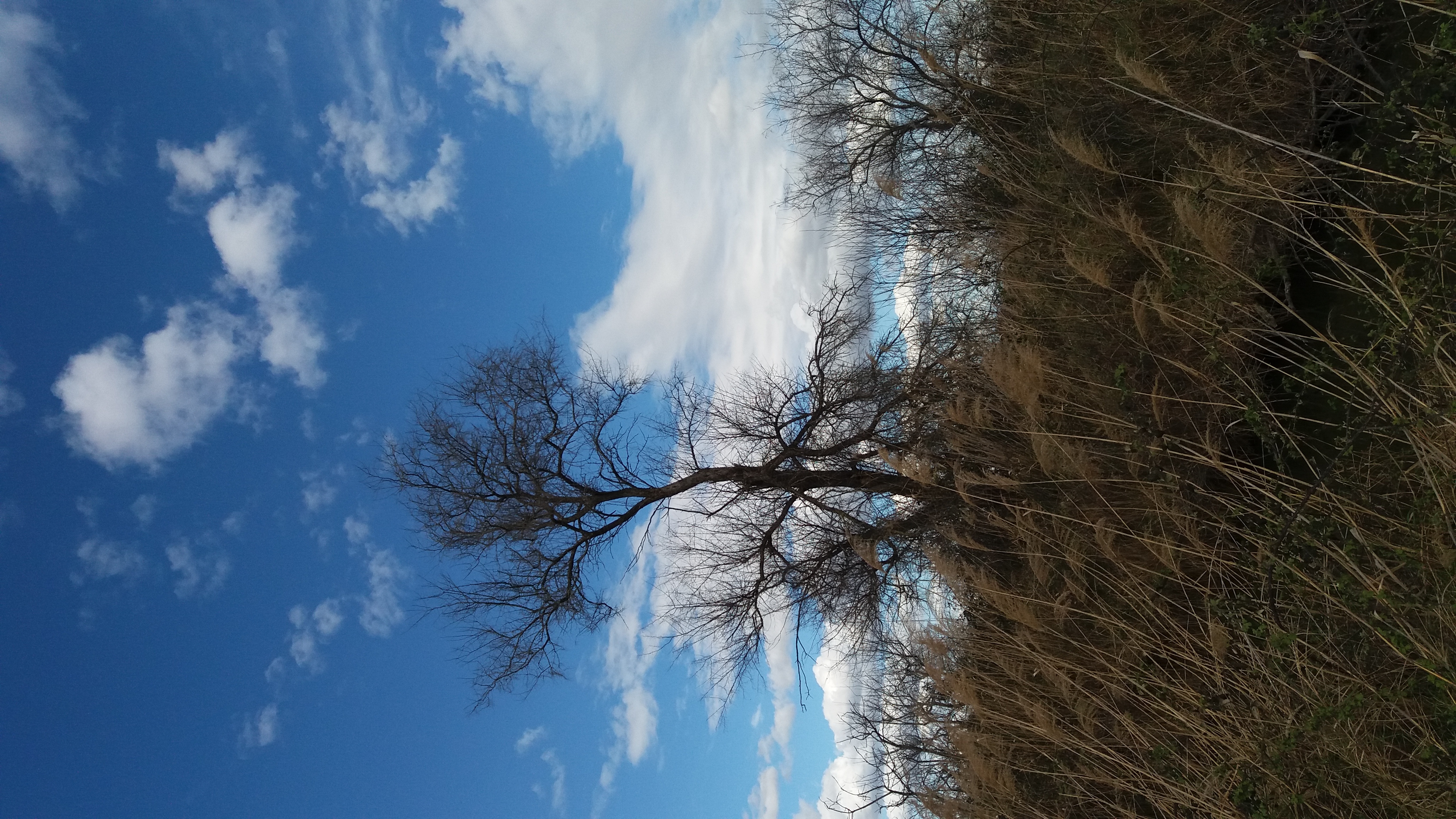 20190307_150731
