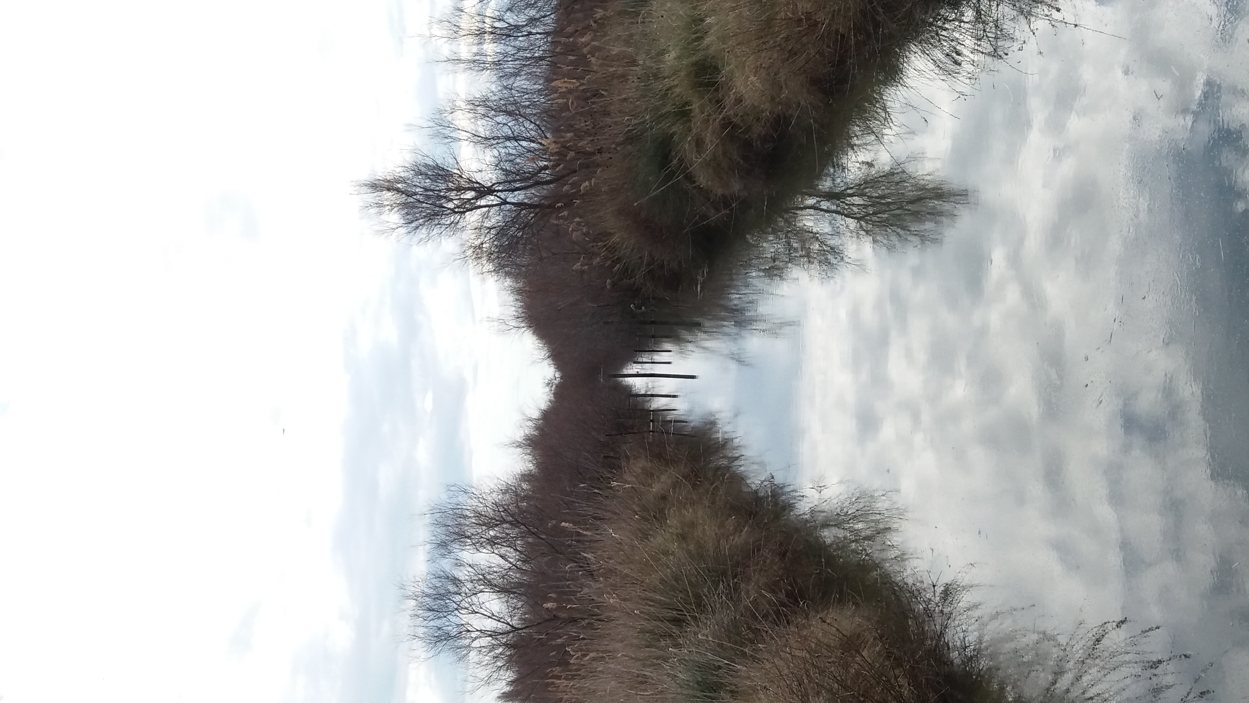 20190307_151232