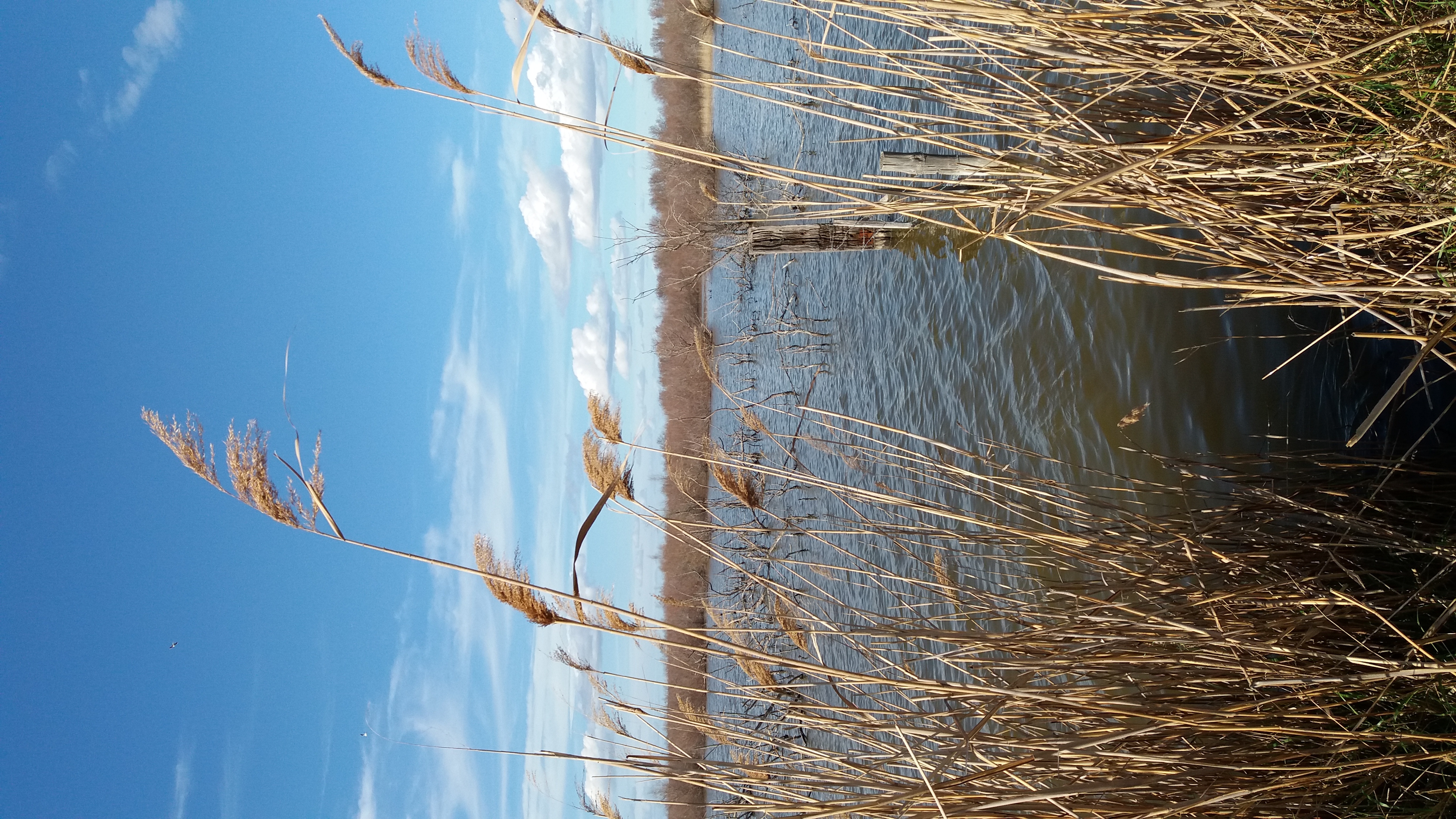 20190307_153414