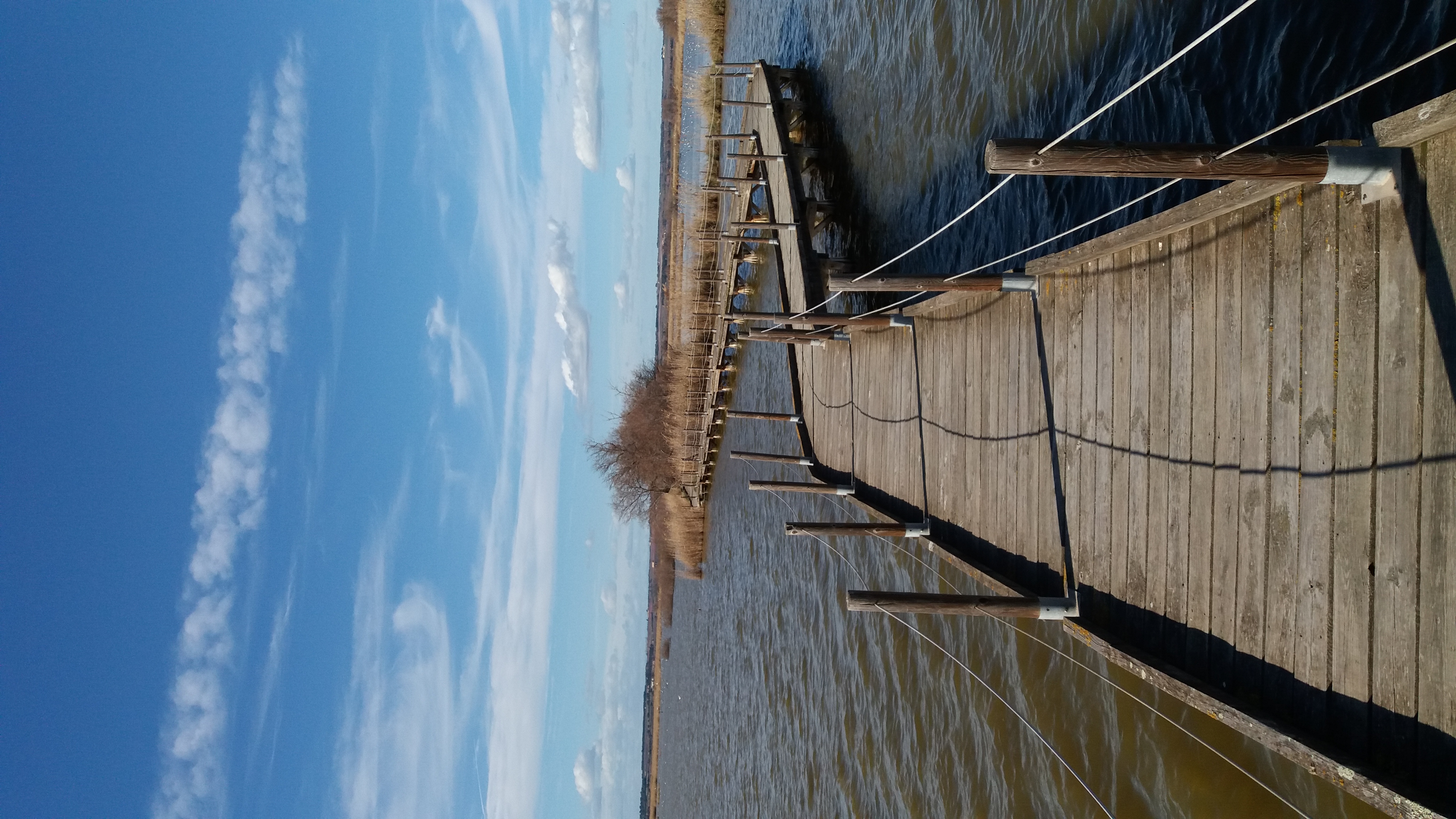 20190307_155019